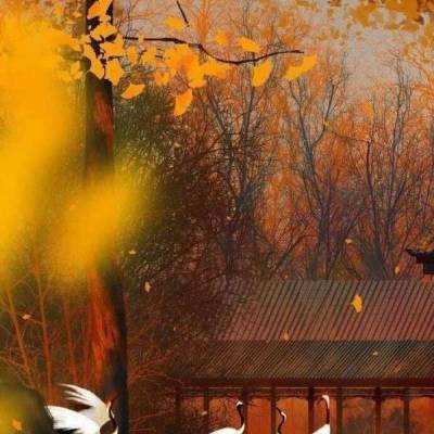 时光幻境腾讯中文版下载